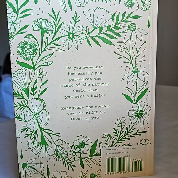 How To Be A Wildflower. A Field guide by Katie Daisy (Hard Cover Book) - Picture 8 of 8